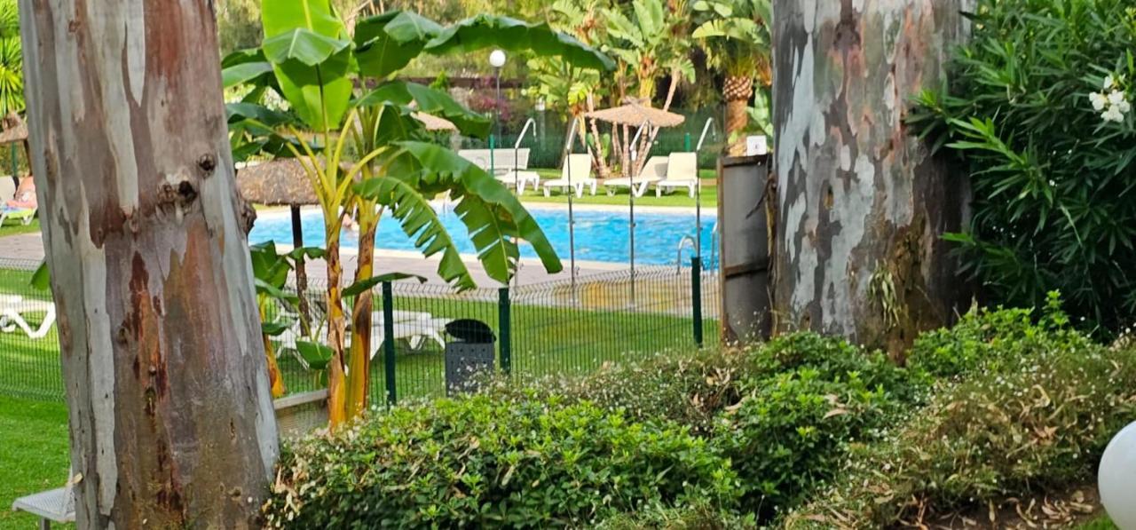Suite Puerto Banus Con Piscina Marbella Bagian luar foto